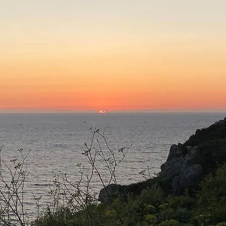 Le Petit Paradis Hio
